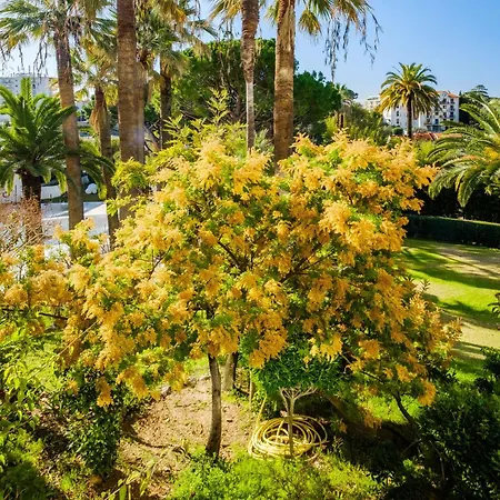 Appartement Le Montfleury