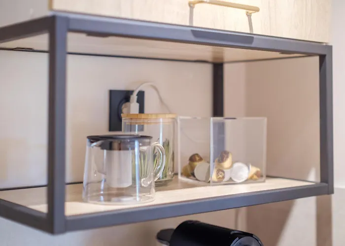 Le Montfleury 公寓 *