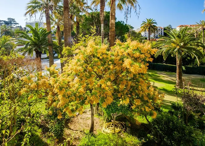 公寓 Le Montfleury